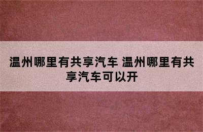 温州哪里有共享汽车 温州哪里有共享汽车可以开